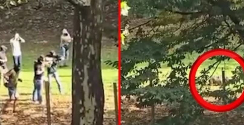 Kosova: 17-vjeçari plagos mësuesen me thikë në Essen, Gjermani