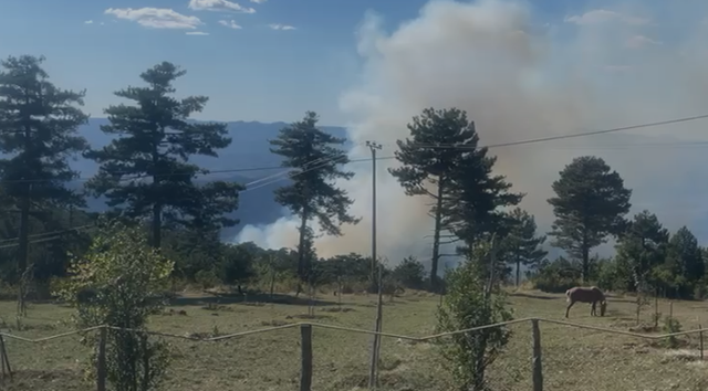 Zjarr në Gramsh, banorët shuhen flakët me mjete rrethanore