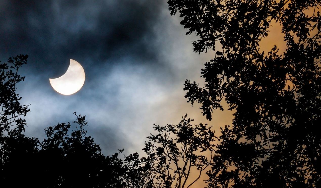 Eklipsi i Diellit: Fenomeni astronomik që do të shihet në Zelandën e Re