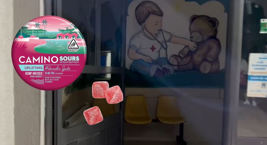 Motrat e helmura nga karamelet me kanabis, jashtë rrezikut