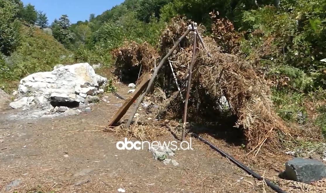 Llixhat e Lëpushës: Pasuri natyrore dhe shëruese në Stravaj