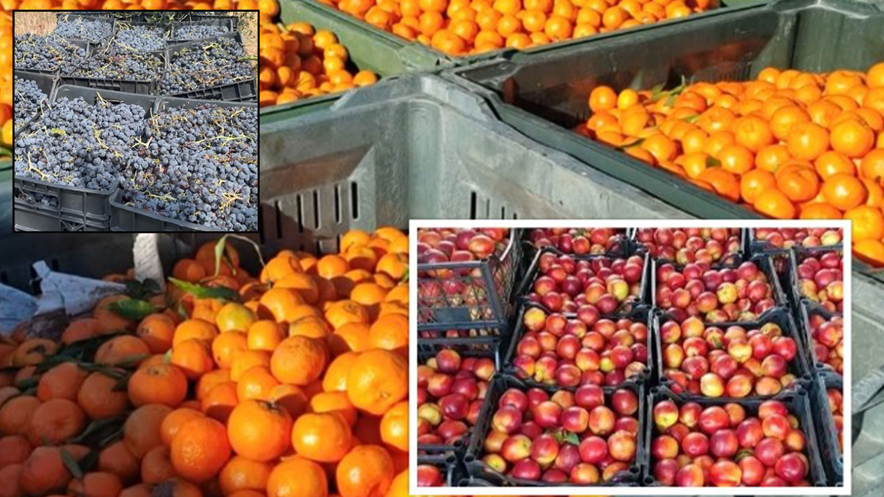 Autoriteti Kombëtar shpall AKU: Pjeshkët dhe rrushi i importuar nga Greqia rezultojnë me…