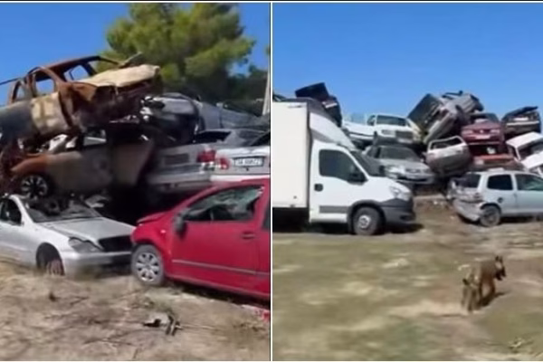 Lirimi i hapësirave publike, Rama: Transformimi i varrezave të makinave