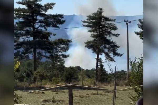 Zjarr në Bulçar, dy helikopterë të Ministrisë së Mbrojtjes në ndihmë