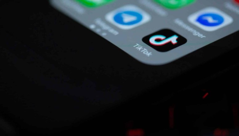 Policia heton dy shantazhues nga Kukësi dhe Lezha në rrjetet sociale