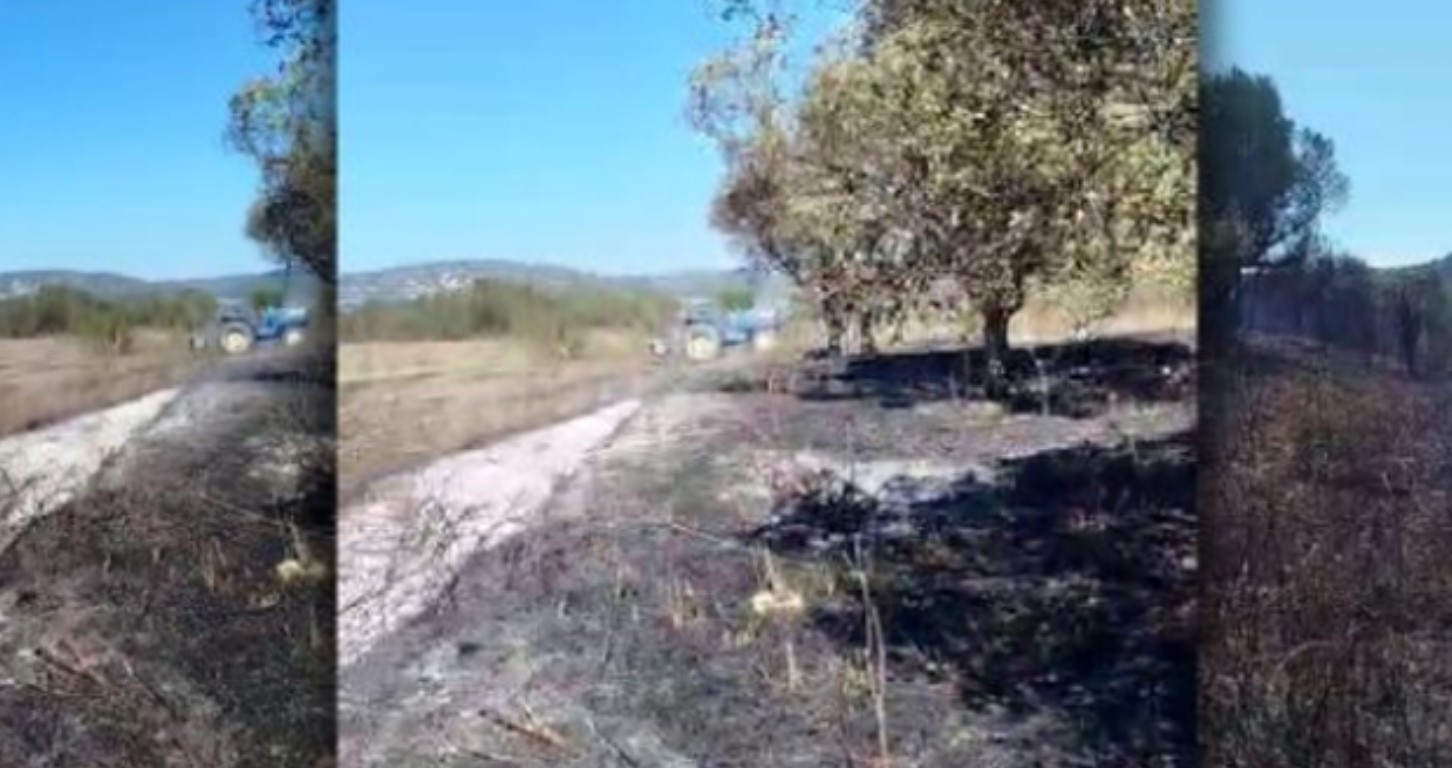 Zjarri: përfshin një sipërfaqe me ullinj në Mifol, Vlorë –…