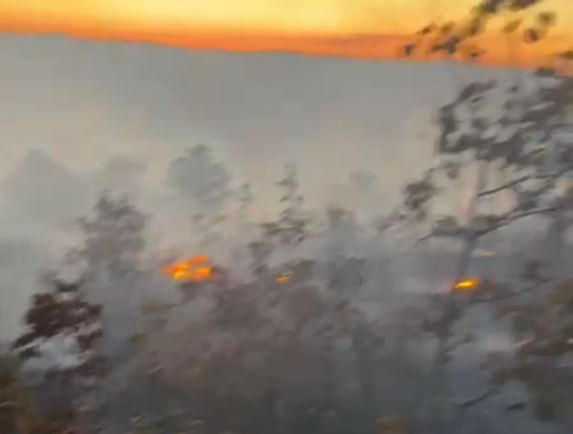 Zjarr në masivet pyjore të Bulçarit, helikopterët ndërhyjnë për shuarje