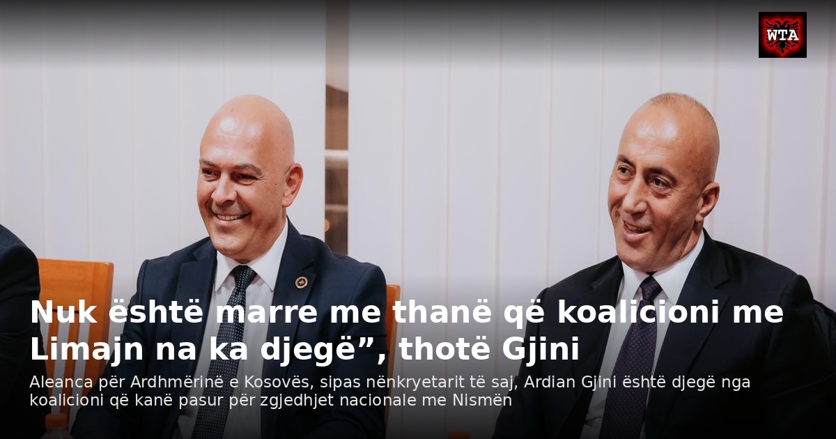 Nuk është marre me thanë që koalicioni me Limajn na ka djegë”, thotë Gjini