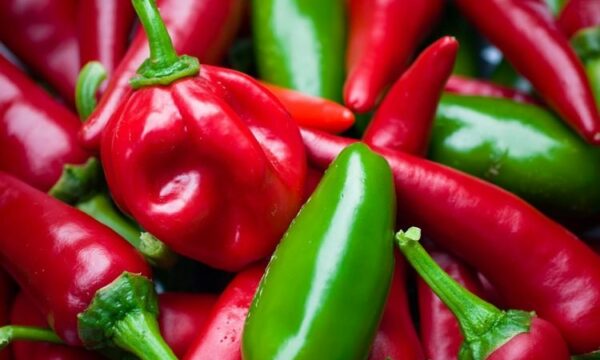 Cërrik Ditën: U ndaluan 8 mijë kg speca në Kroaci, AKU nis kontrollet në Divjakë dhe…