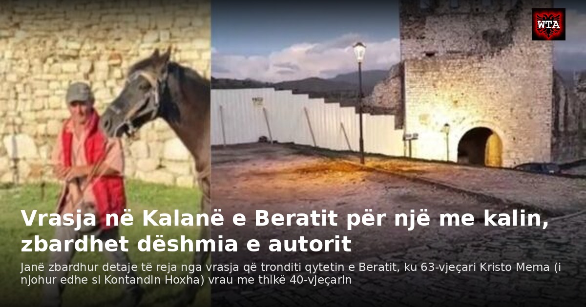 Vrasja në Kalanë e Beratit për një me kalin, zbardhet dëshmia e autorit