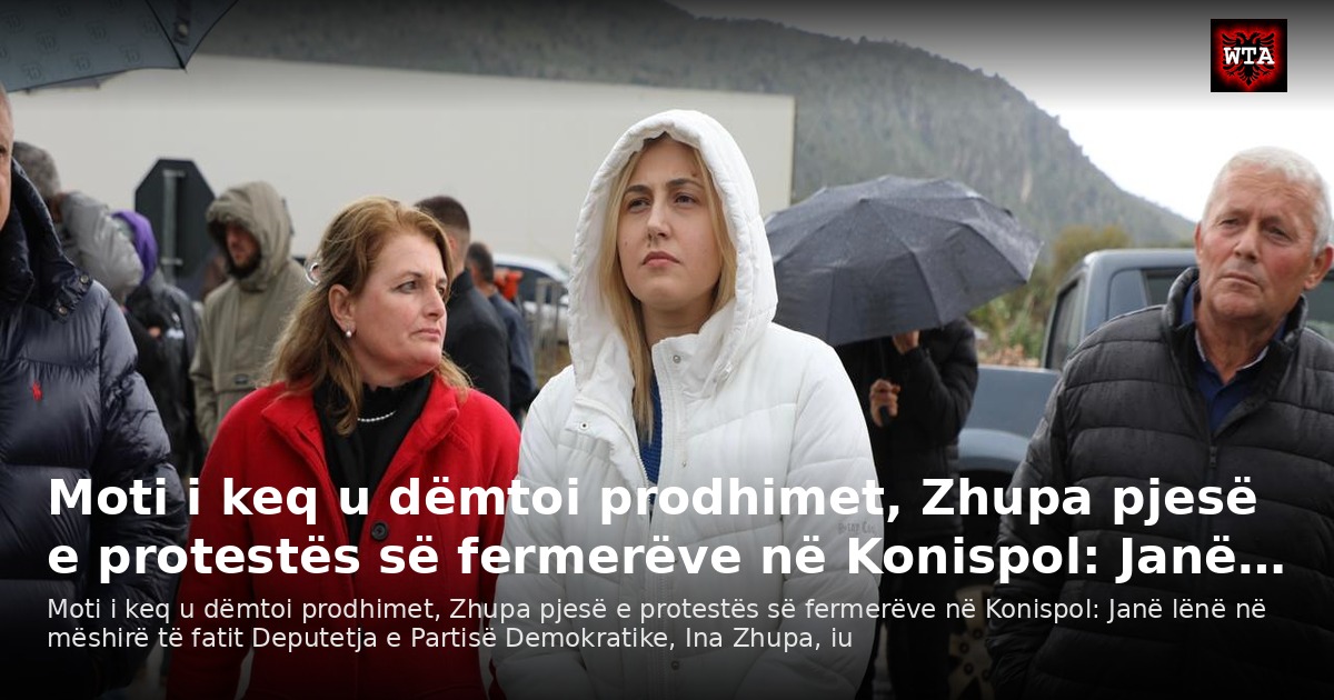 Moti i keq u dëmtoi prodhimet, Zhupa pjesë e protestës së fermerëve në Konispol: Janë…