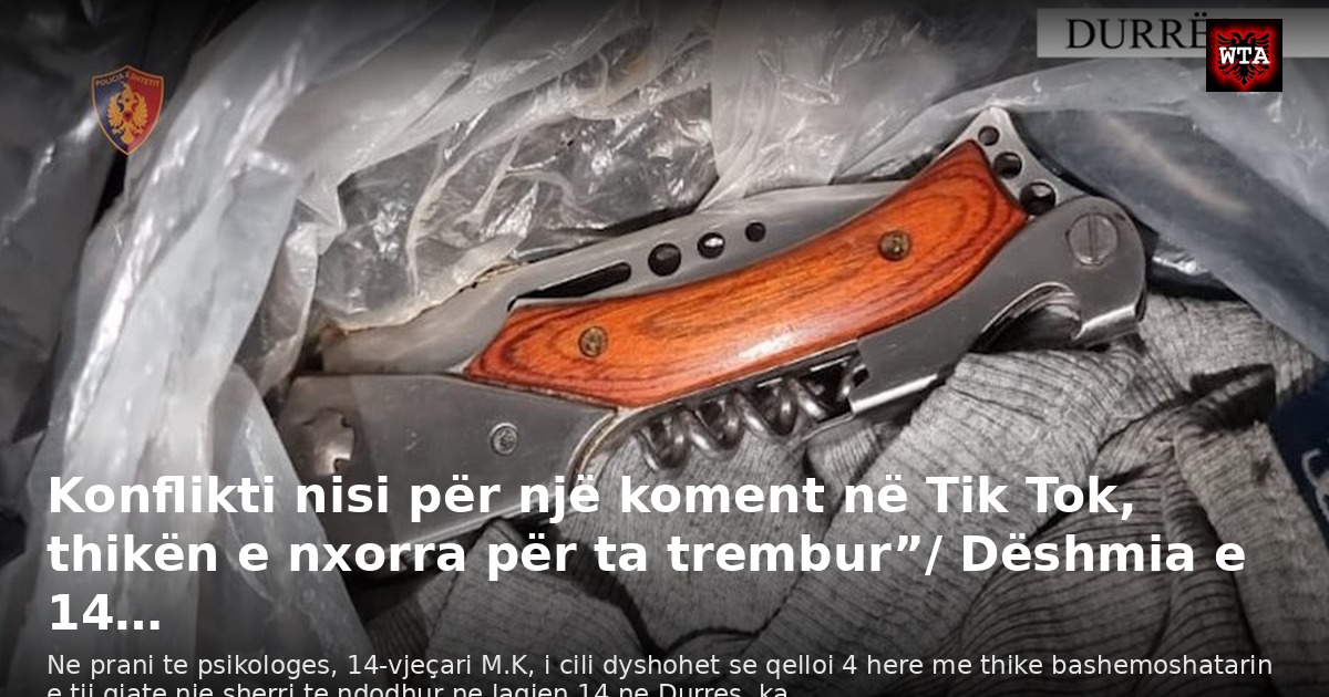 Konflikti nisi për një koment në Tik Tok, thikën e nxorra për ta trembur”/ Dëshmia e 14…