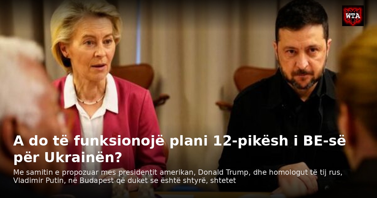 A do të funksionojë plani 12-pikësh i BE-së për Ukrainën?