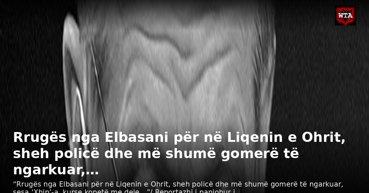 Rrugës nga Elbasani për në Liqenin e Ohrit, sheh policë dhe më shumë gomerë të ngarkuar,…