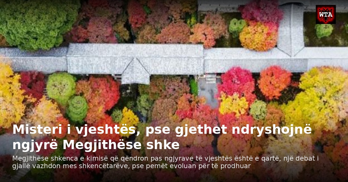 Misteri i vjeshtës, pse gjethet ndryshojnë ngjyrë Megjithëse shke