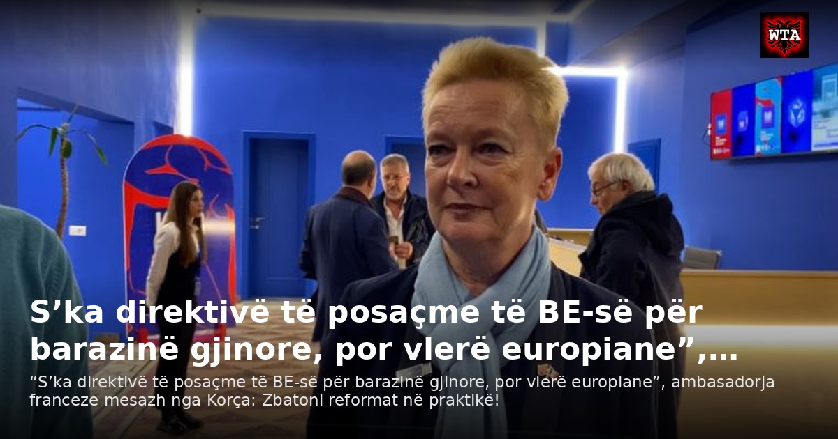 S’ka direktivë të posaçme të BE-së për barazinë gjinore, por vlerë europiane”,…