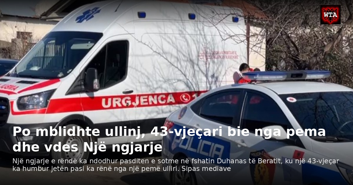 Po mblidhte ullinj, 43-vjeçari bie nga pema dhe vdes Një ngjarje