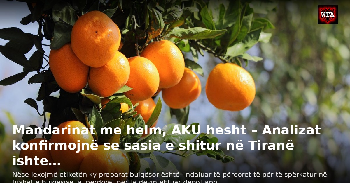 Mandarinat me helm, AKU hesht – Analizat konfirmojnë se sasia e shitur në Tiranë ishte…