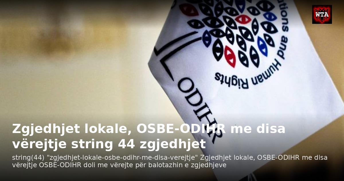 Zgjedhjet lokale, OSBE-ODIHR me disa vërejtje string 44 zgjedhjet