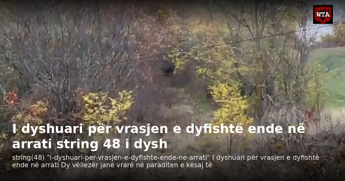 I dyshuari për vrasjen e dyfishtë ende në arrati string 48 i dysh