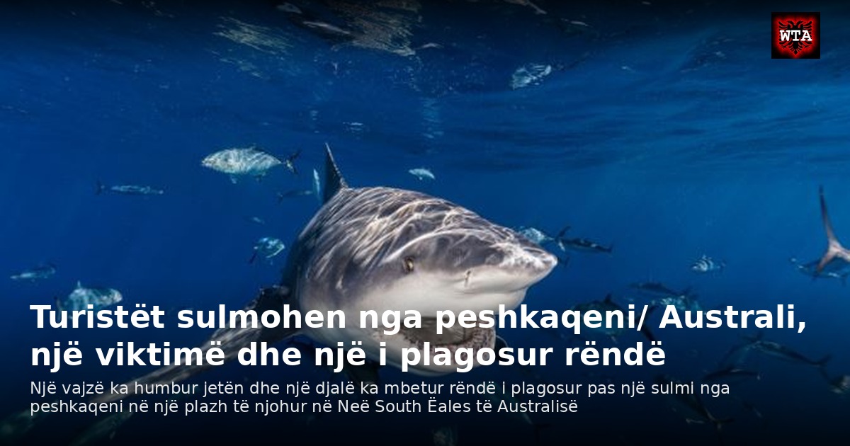 Turistët sulmohen nga peshkaqeni/ Australi, një viktimë dhe një i plagosur rëndë