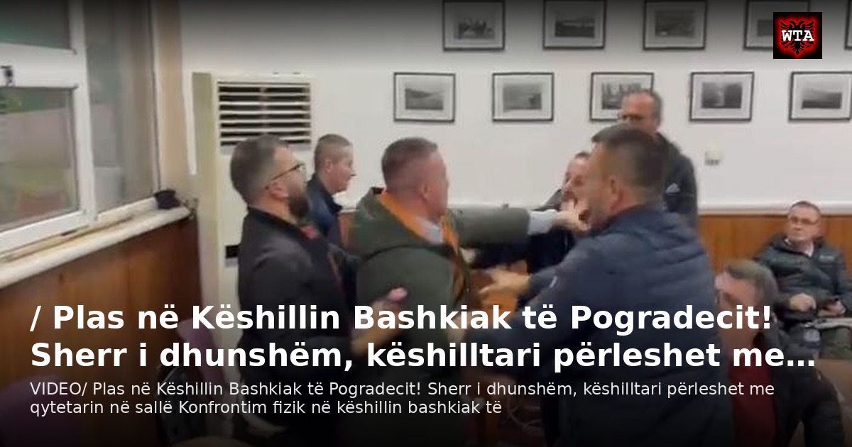 / Plas në Këshillin Bashkiak të Pogradecit! Sherr i dhunshëm, këshilltari përleshet me…