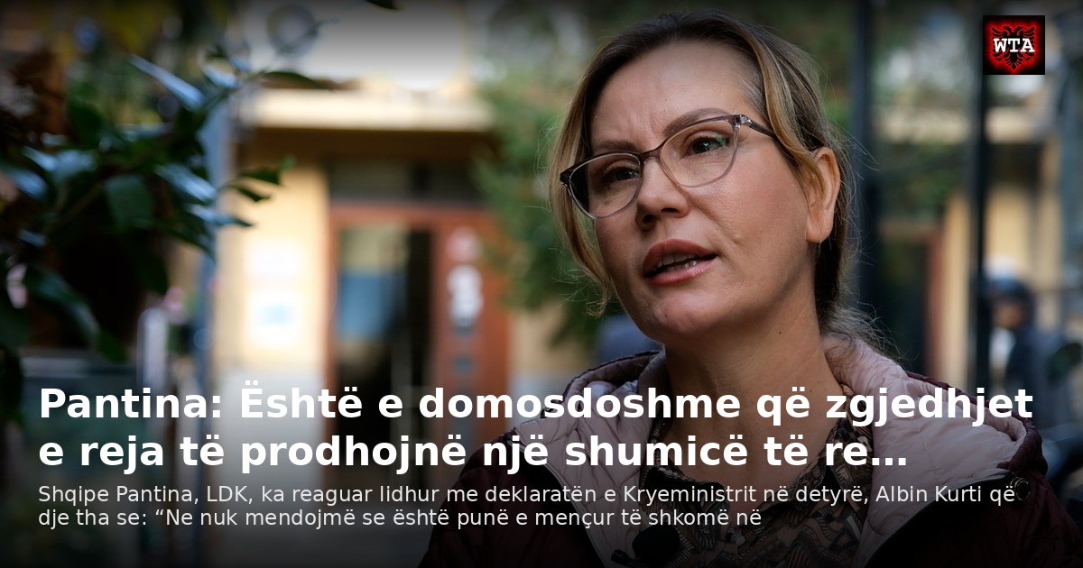 Pantina: Është e domosdoshme që zgjedhjet e reja të prodhojnë një shumicë të re…
