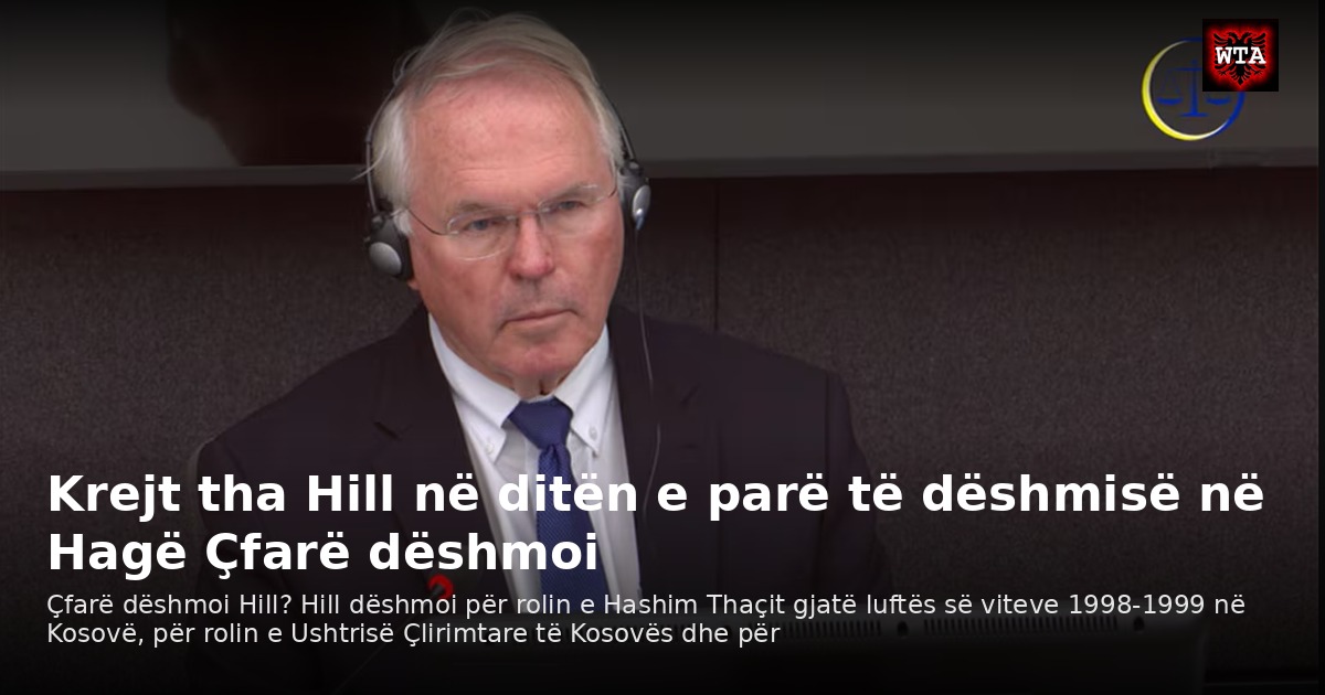 Krejt tha Hill në ditën e parë të dëshmisë në Hagë Çfarë dëshmoi