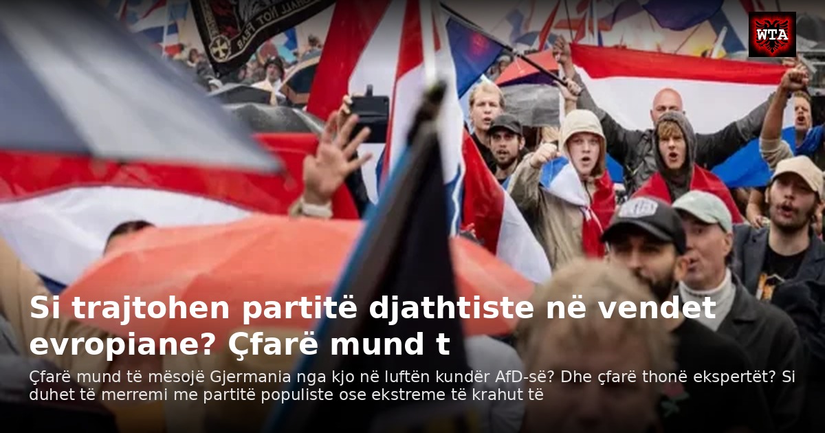 Si trajtohen partitë djathtiste në vendet evropiane? Çfarë mund t