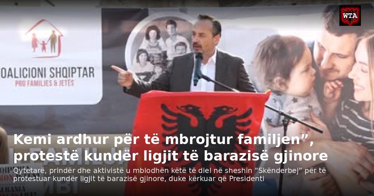 Kemi ardhur për të mbrojtur familjen”, protestë kundër ligjit të barazisë gjinore