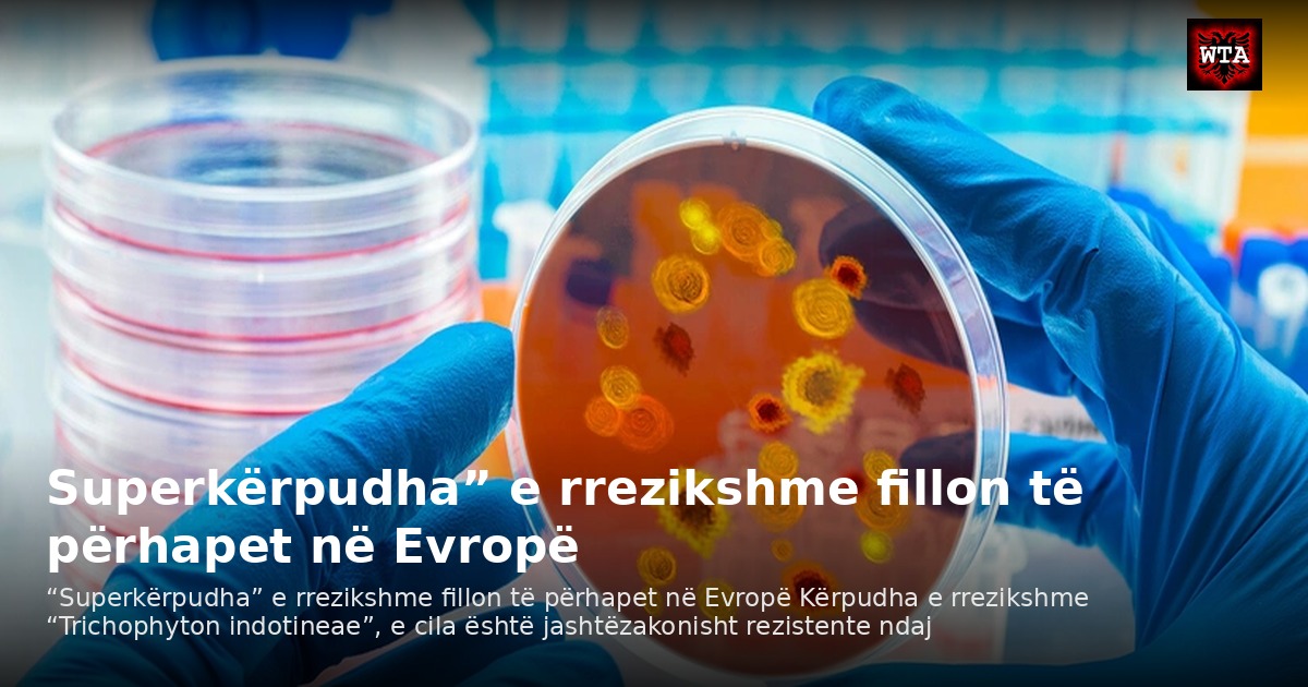 Superkërpudha” e rrezikshme fillon të përhapet në Evropë