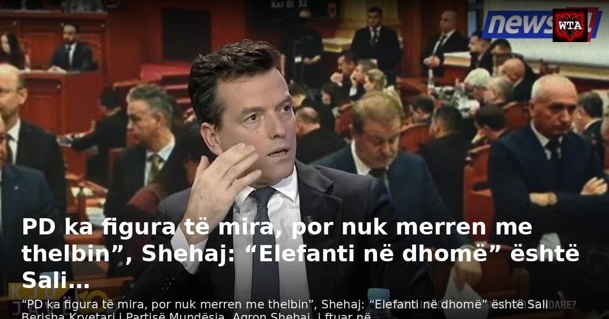 PD ka figura të mira, por nuk merren me thelbin”, Shehaj: “Elefanti në dhomë” është Sali…