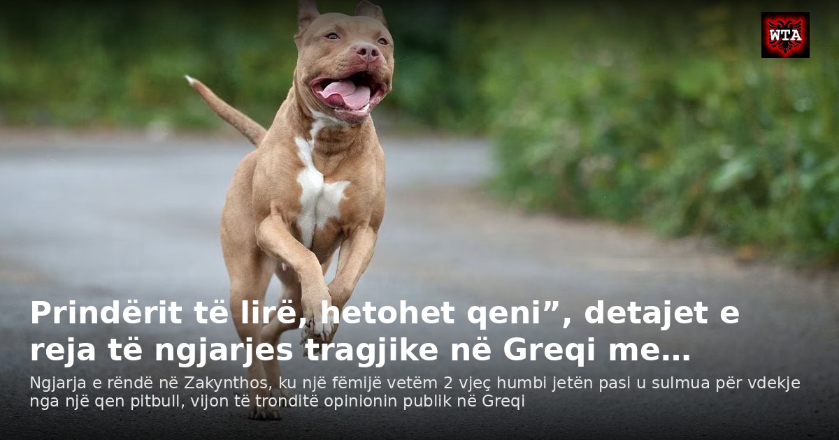 Prindërit të lirë, hetohet qeni”, detajet e reja të ngjarjes tragjike në Greqi me…