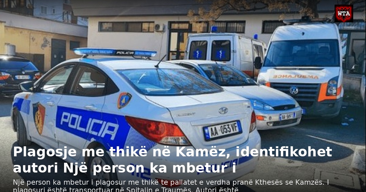 Plagosje me thikë në Kamëz, identifikohet autori Një person ka mbetur i