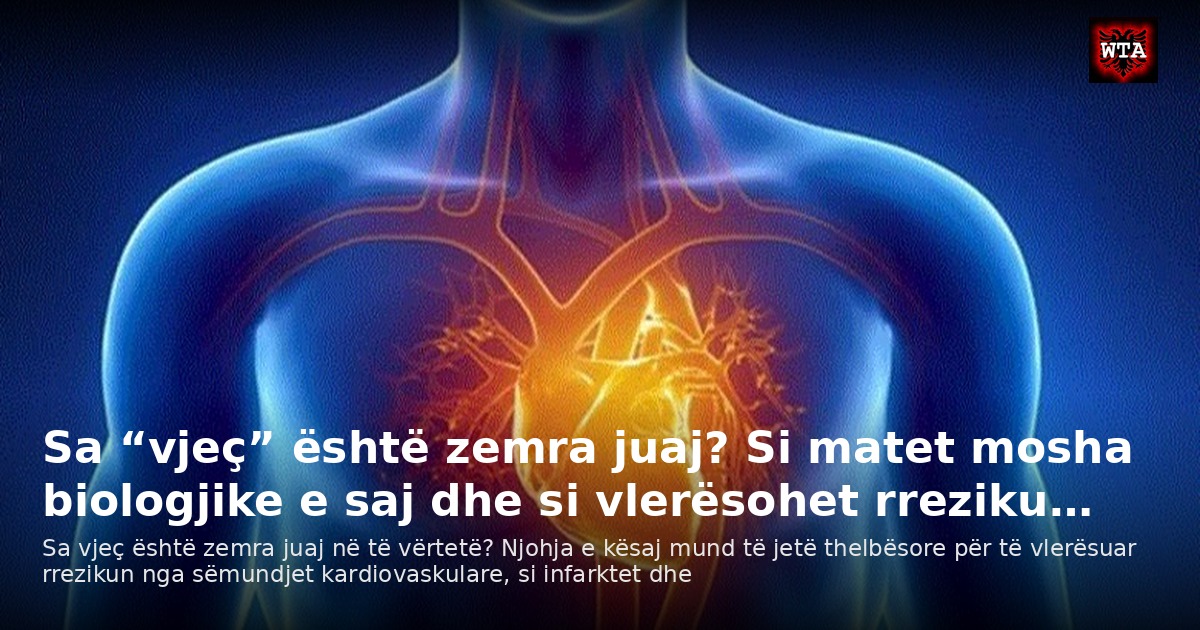 Sa “vjeç” është zemra juaj? Si matet mosha biologjike e saj dhe si vlerësohet rreziku…