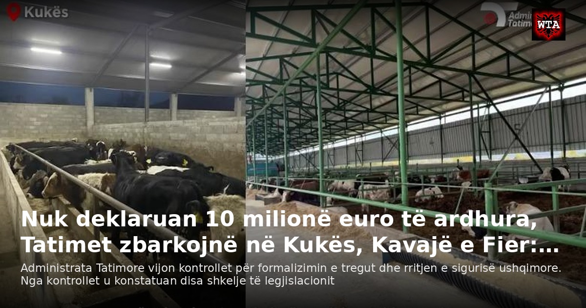 Nuk deklaruan 10 milionë euro të ardhura, Tatimet zbarkojnë në Kukës, Kavajë e Fier:…