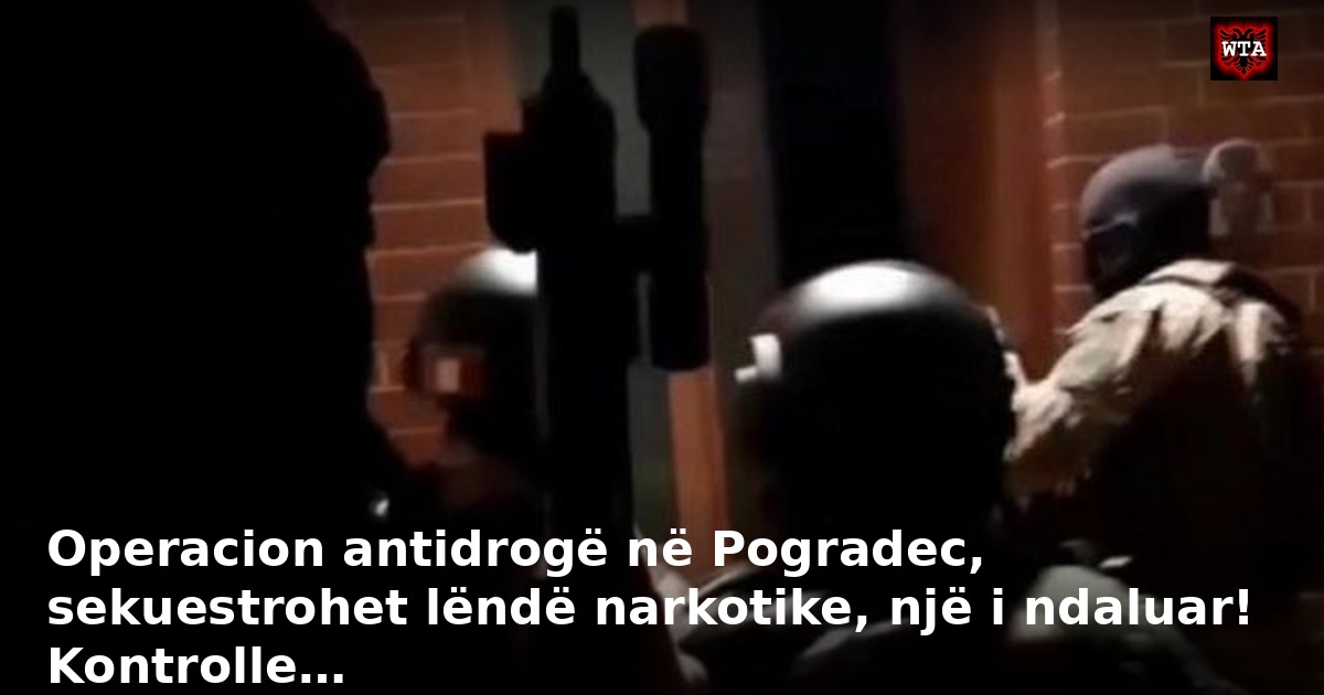 Operacion antidrogë në Pogradec, sekuestrohet lëndë narkotike, një i ndaluar! Kontrolle…