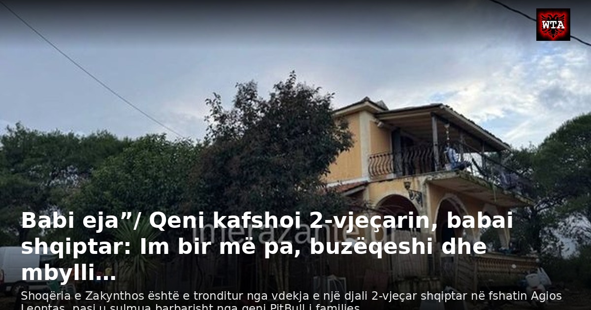 Babi eja”/ Qeni kafshoi 2-vjeçarin, babai shqiptar: Im bir më pa, buzëqeshi dhe mbylli…