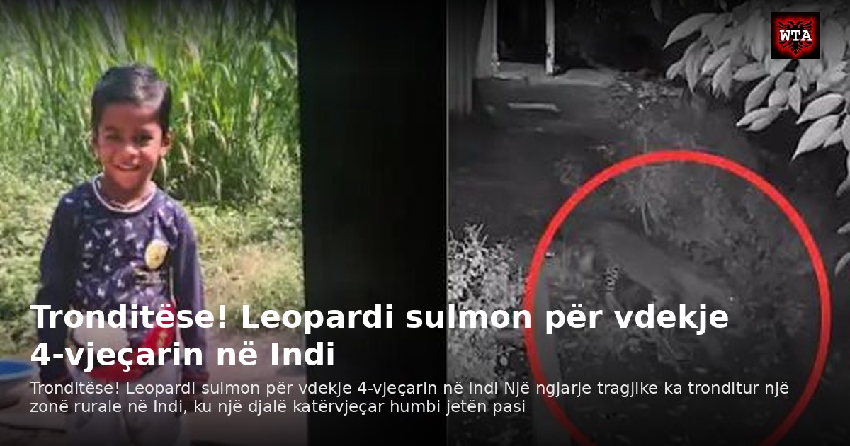 Tronditëse! Leopardi sulmon për vdekje 4-vjeçarin në Indi