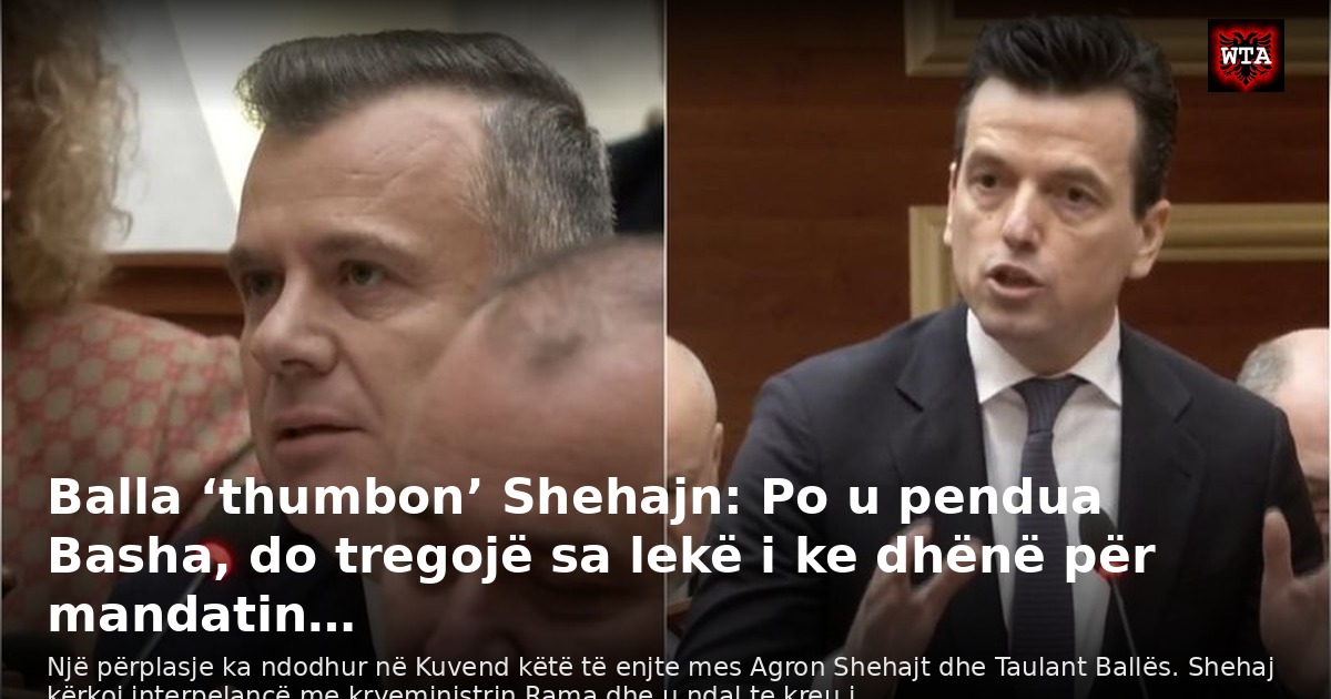 Balla ‘thumbon’ Shehajn: Po u pendua Basha, do tregojë sa lekë i ke dhënë për mandatin…