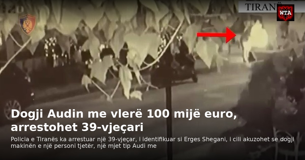 Dogji Audin me vlerë 100 mijë euro, arrestohet 39-vjeçari