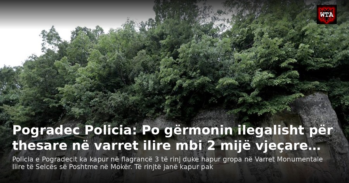 Pogradec Policia: Po gërmonin ilegalisht për thesare në varret ilire mbi 2 mijë vjeçare…