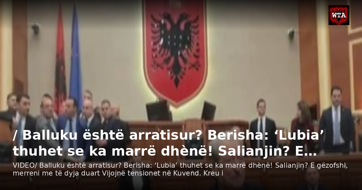 / Balluku është arratisur? Berisha: ‘Lubia’ thuhet se ka marrë dhènë! Salianjin? E…