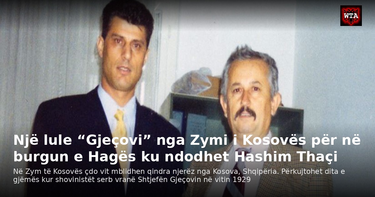 Një lule “Gjeçovi” nga Zymi i Kosovës për në burgun e Hagës ku ndodhet Hashim Thaçi