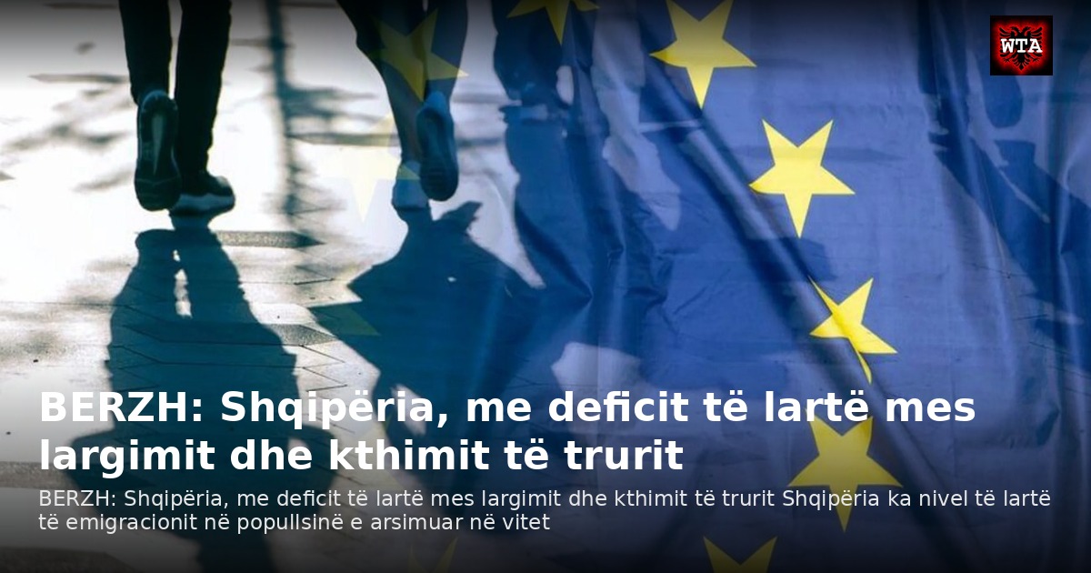 BERZH: Shqipëria, me deficit të lartë mes largimit dhe kthimit të trurit