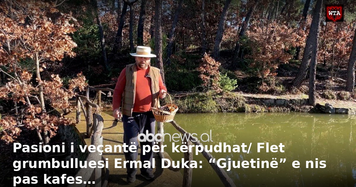 Pasioni i veçantë për kërpudhat/ Flet grumbulluesi Ermal Duka: “Gjuetinë” e nis pas kafes…