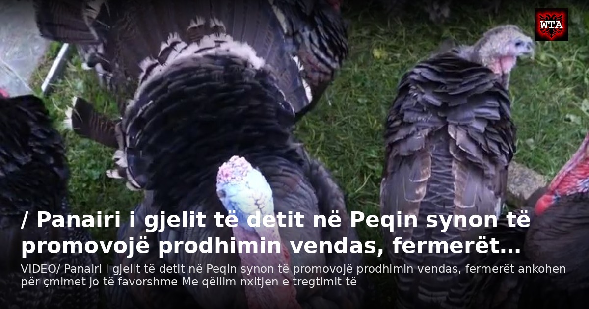 / Panairi i gjelit të detit në Peqin synon të promovojë prodhimin vendas, fermerët…