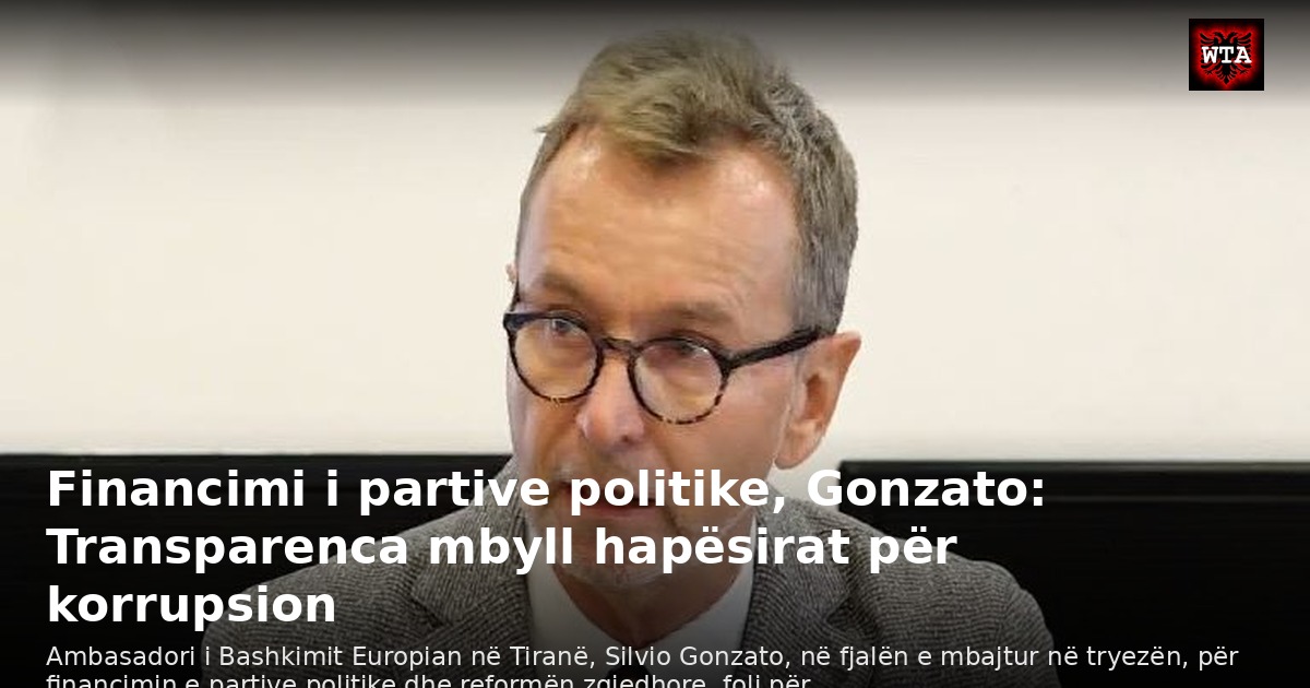 Financimi i partive politike, Gonzato: Transparenca mbyll hapësirat për korrupsion