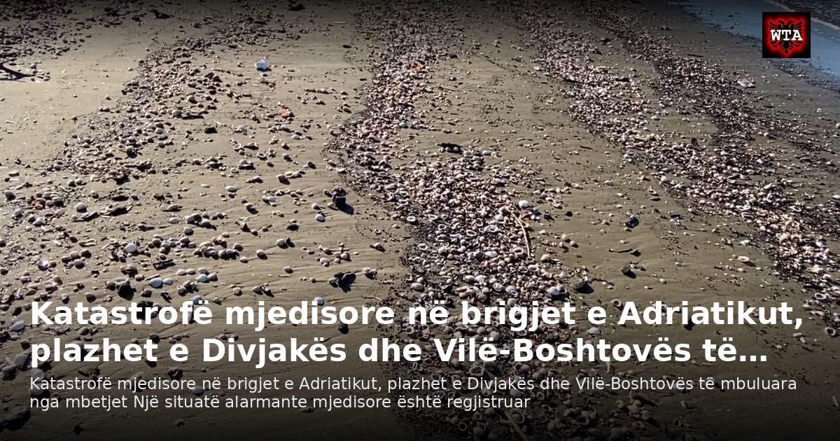 Katastrofë mjedisore në brigjet e Adriatikut, plazhet e Divjakës dhe Vilë-Boshtovës të…