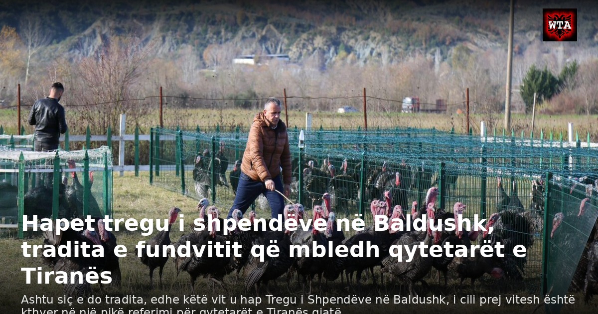 Hapet tregu i shpendëve në Baldushk, tradita e fundvitit që mbledh qytetarët e Tiranës